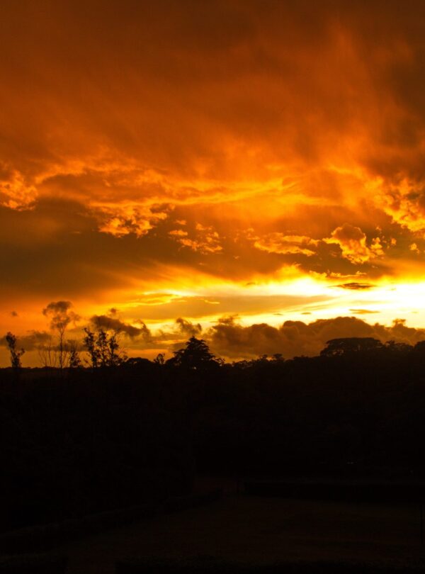 Costa Rica sunset in monteverde rainforest