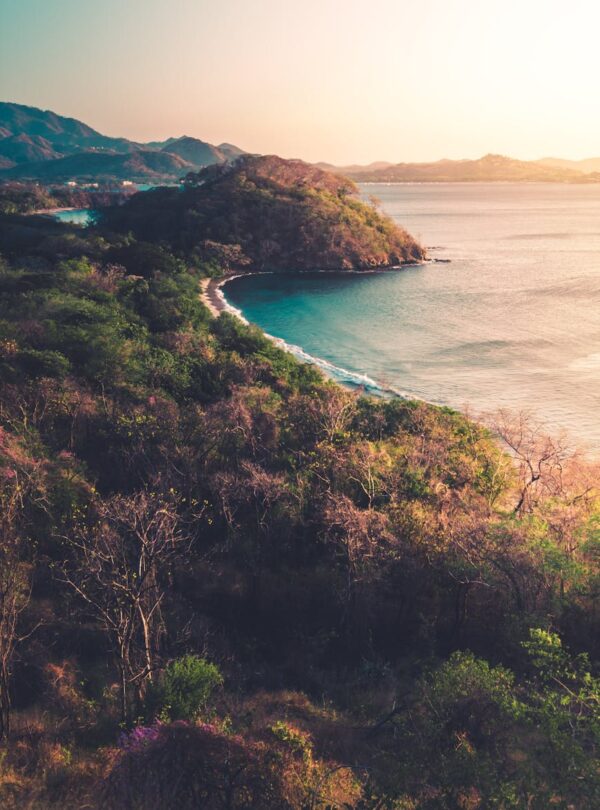 lush trees on mountain against ocean at sunset