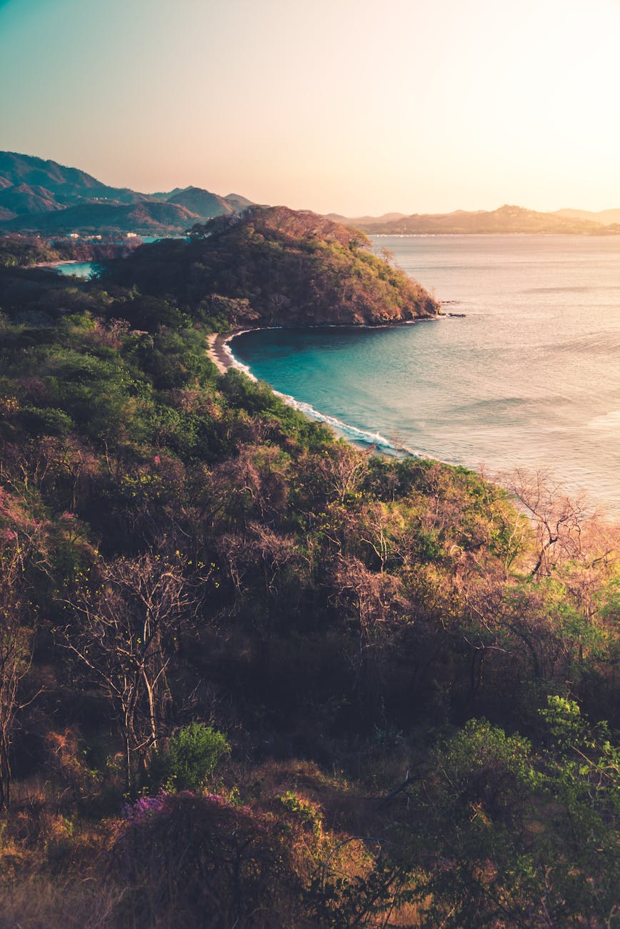 lush trees on mountain against ocean at sunset